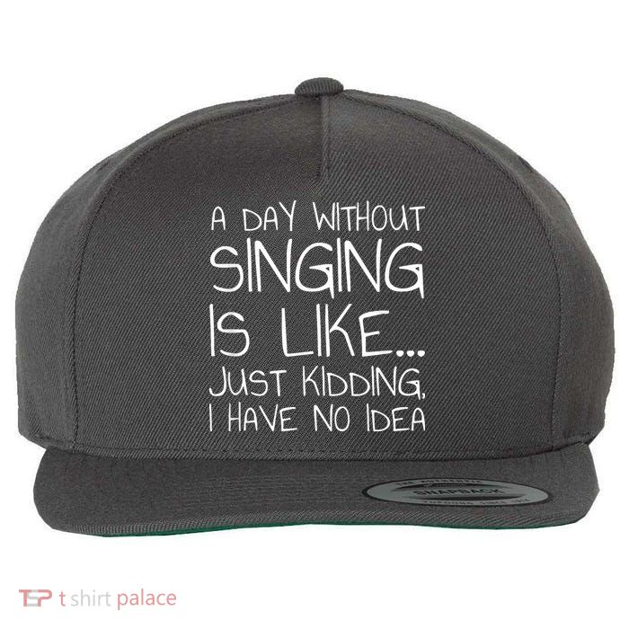 A Day Without Singing Is Like Just Kidding Wool Snapback Cap