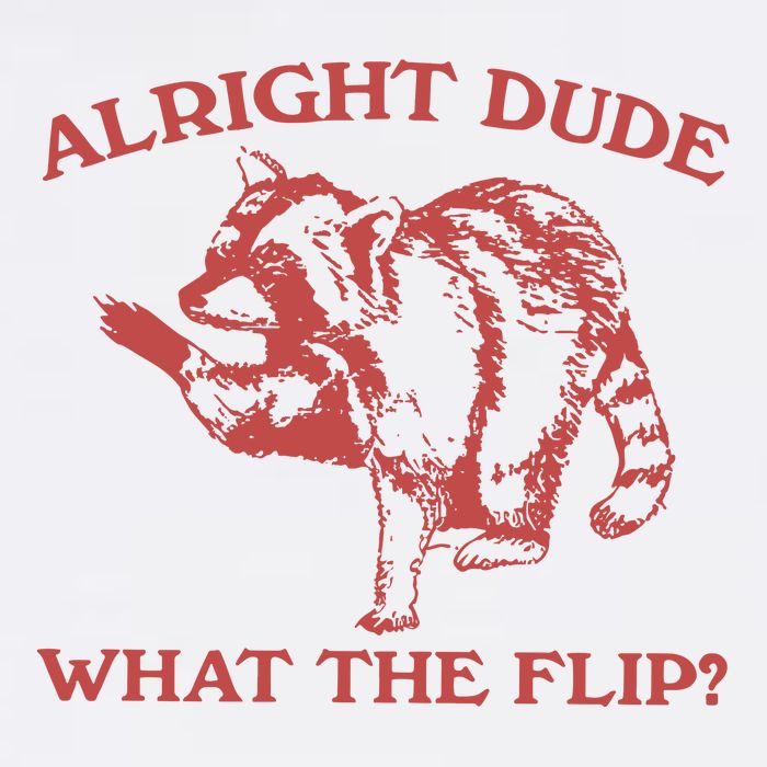 Alright Dude What The Flip Button