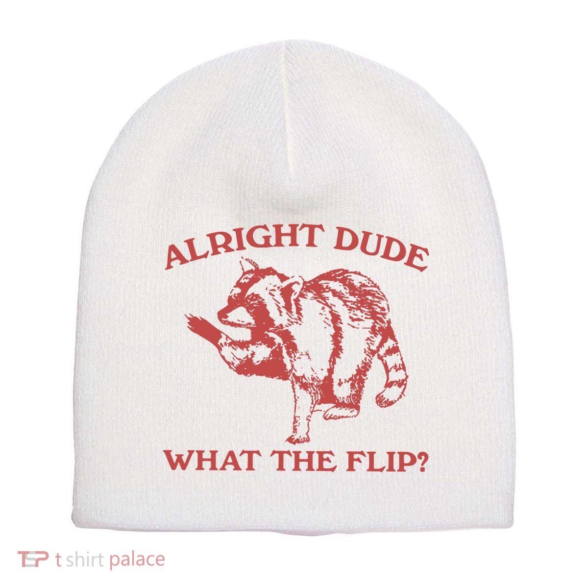 Alright Dude What The Flip Short Acrylic Beanie