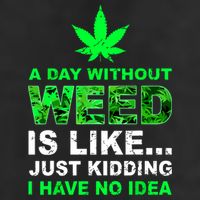 A Day Without Weed Funny Marijuana Cannabis Weed Pot 420 11oz C Handle Ceramic Mug