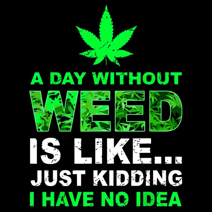 A Day Without Weed Funny Marijuana Cannabis Weed Pot 420 Cropped Pullover Crew