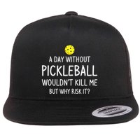 A Day Without Pickleball is Like Cool Pickleball Dink Player Flatbill Hat