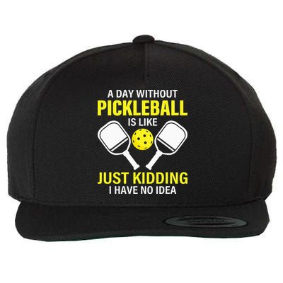 A Day Without Pickleball is Like Pickleball Dink Player Wool Snapback Cap