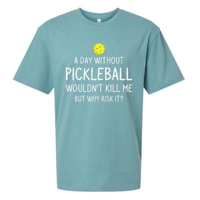 A Day Without Pickleball Funny Pickleball Sayings Sueded Cloud Jersey T-Shirt