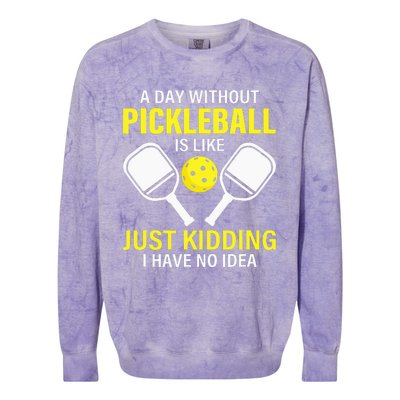 A Day Without Pickleball Is Like Haha NO Clue Dink Colorblast Crewneck Sweatshirt