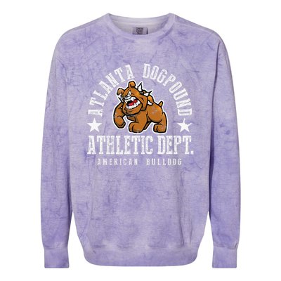 ATLANTA Dogpound Workout Excercise Lover Dog Owner Colorblast Crewneck Sweatshirt