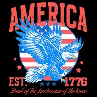 America Est 1776 Land Of The Free Because Of The Brave Poster
