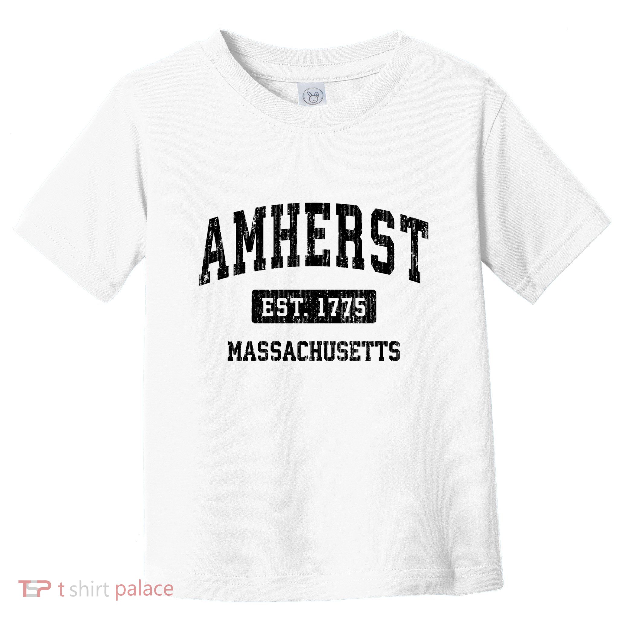 Amherst Est 1775 Massachusetts Ma Vintage Sports Established Design Toddler T-Shirt