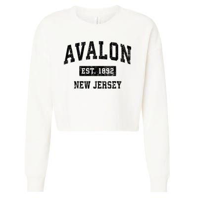 Avalon Est 1892 New Jersey Nj Vintage Sports Design Cropped Pullover Crew