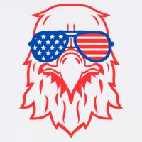 American Eagle 4th Of July Festive Adult Drive Performance Visor