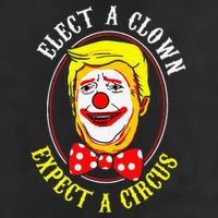 Anti-Trump Elect A Clown Expect A Circus Resist Protest 7 Panel Mesh Trucker Snapback Hat