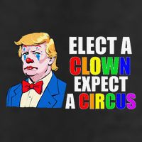 Anti-Trump Elect A Clown Expect A Circus Resist Protest 7 Panel Mesh Trucker Snapback Hat