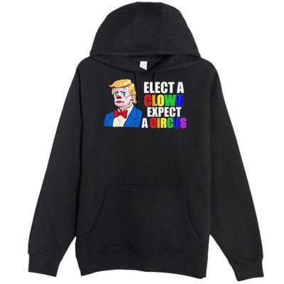 Anti-Trump Elect A Clown Expect A Circus Resist Protest Premium Pullover Hoodie