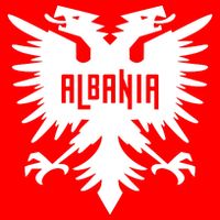 Albanian Eagle Mesh Reversible Basketball Jersey Tank