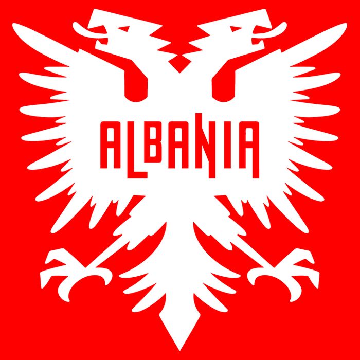 Albanian Eagle Mesh Reversible Basketball Jersey Tank