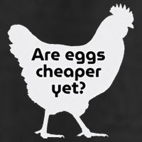Are Eggs Cheap Yet Funny Antitrump Sarcastic 7 Panel Mesh Trucker Snapback Hat
