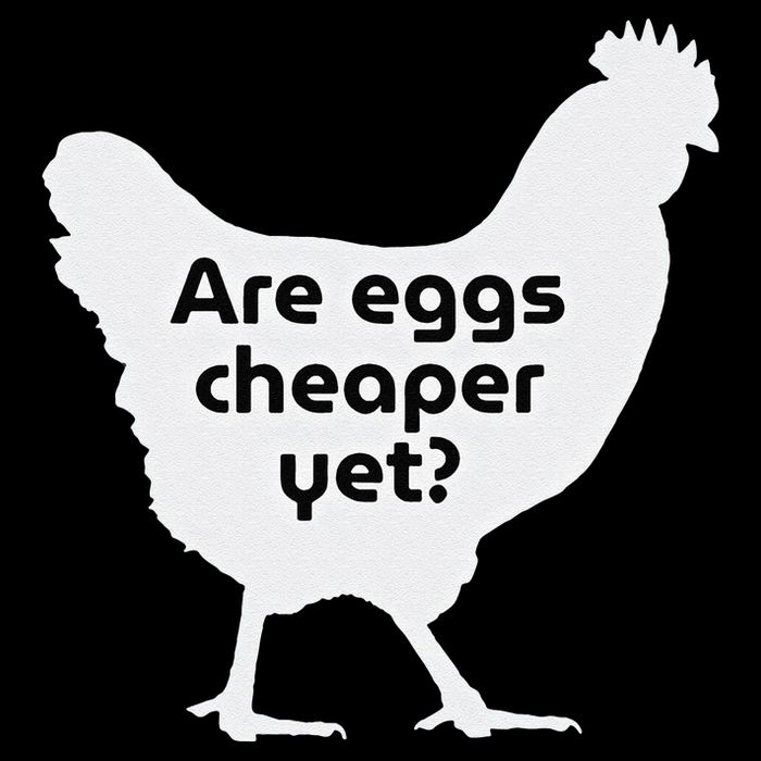 Are Eggs Cheap Yet Funny Antitrump Sarcastic 7-Panel Snapback Hat