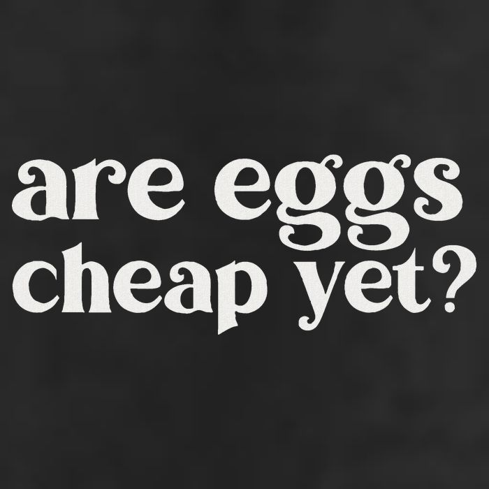 Are Eggs Cheap Yet Funny Anti Trump Sarcastic Cool Comfort Performance Bucket Hat