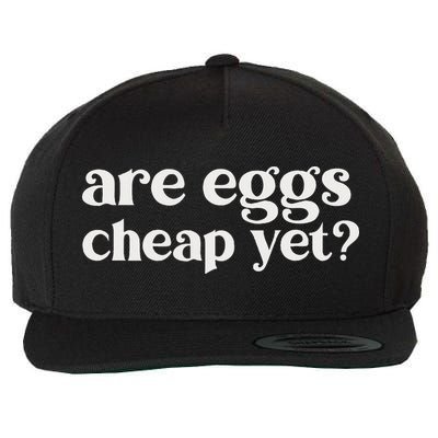 Are Eggs Cheap Yet Funny Anti Trump Sarcastic Wool Snapback Cap