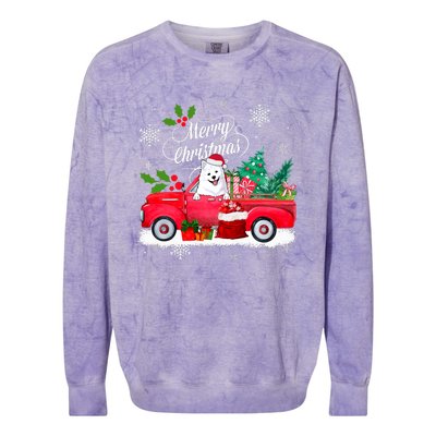 American Eskimo Dog Merry Christmas Reindeer Truck Xmas Tree Colorblast Crewneck Sweatshirt