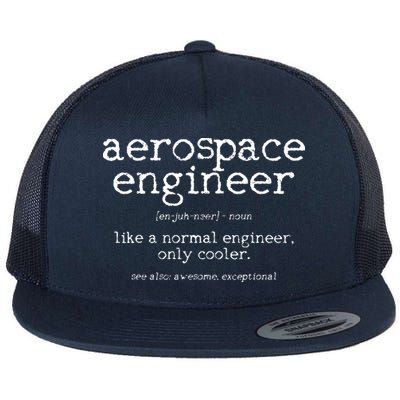 Aerospace Engineer Definition Funny Engineering Gift Flatbill Hat