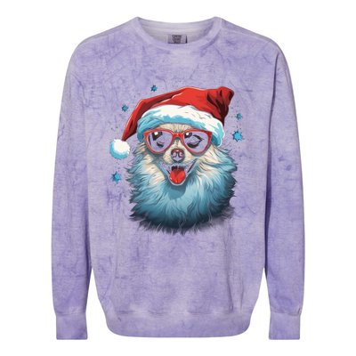 American Eskimo Dog Christmas Xmas Holiday Dog Mom Dad Gift Colorblast Crewneck Sweatshirt