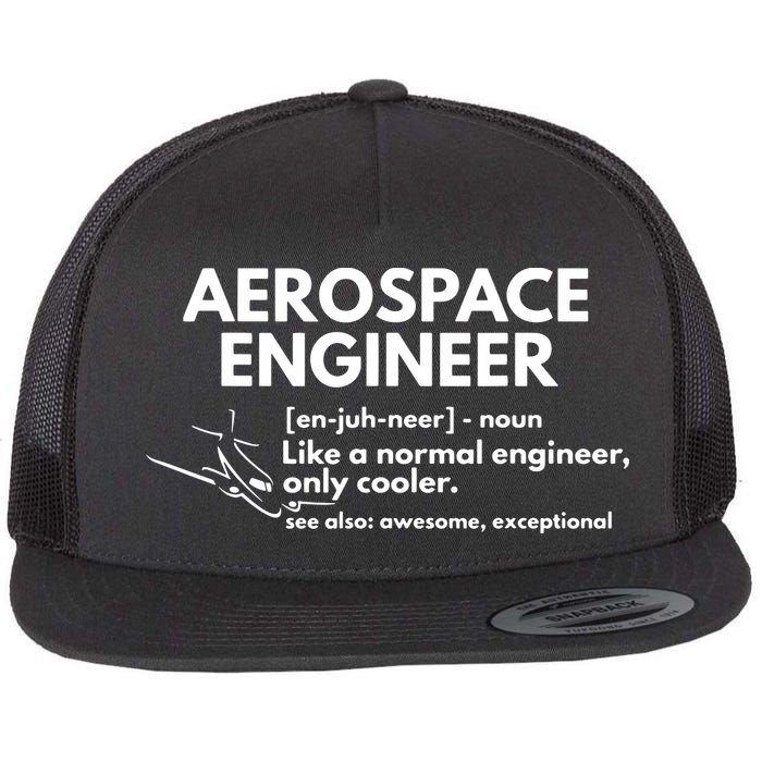 Aerospace Engineer Definition Funny Engineering Flatbill Hat