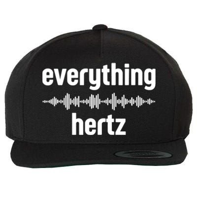 Audio Engineer Funny Sound Guy Studio Music Everything Hertz Wool Snapback Cap