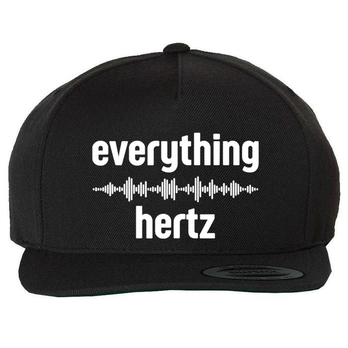 Audio Engineer Funny Sound Guy Studio Music Everything Hertz Wool Snapback Cap