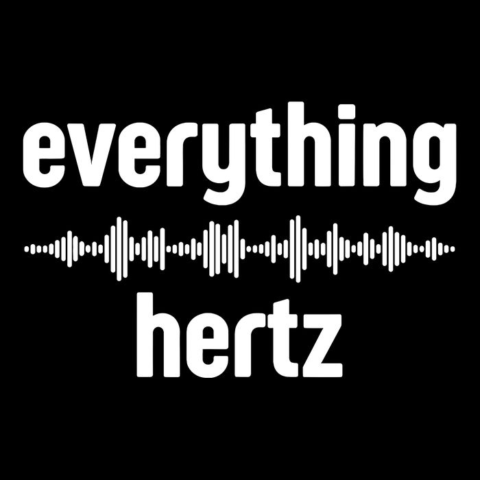 Audio Engineer Funny Sound Guy Studio Music Everything Hertz Wool Snapback Cap