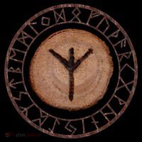 Algiz Elder Futhark Rune T-Shirt