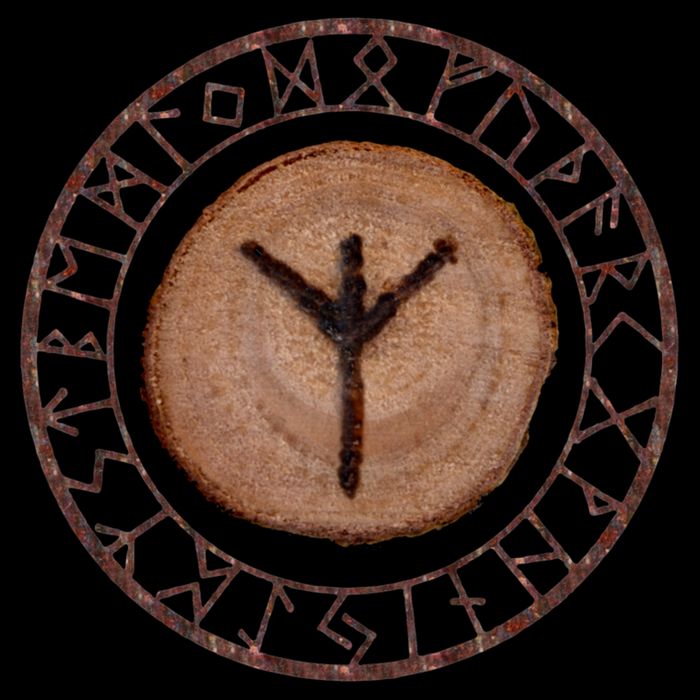 Algiz Elder Futhark Rune Drawstring Bag