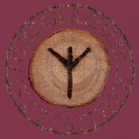 Algiz Elder Futhark Rune 16oz Travel Tumbler