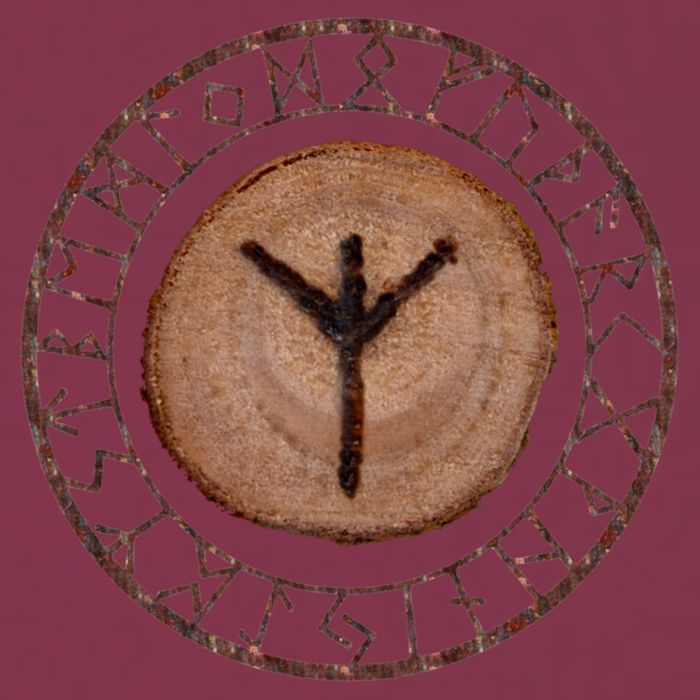 Algiz Elder Futhark Rune 16oz Travel Tumbler