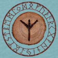 Algiz Elder Futhark Rune Sueded Cloud Jersey T-Shirt