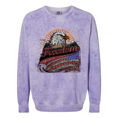 American Eagle Forever Freedom USA Colorblast Crewneck Sweatshirt