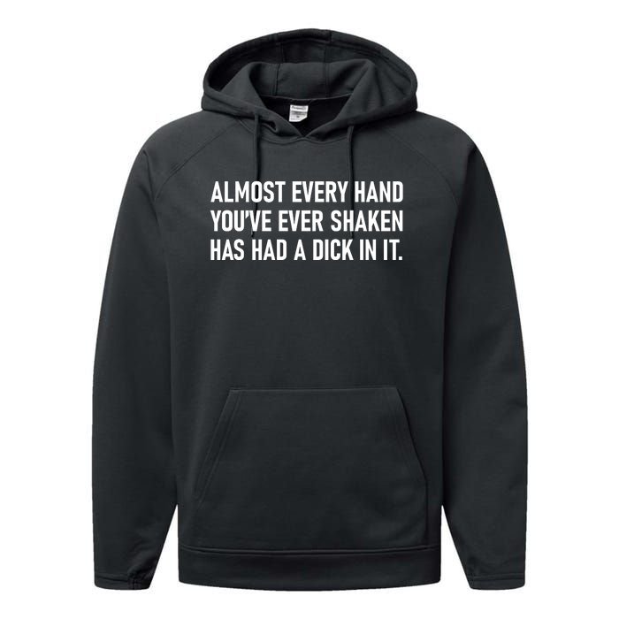 Almost Every Hand YouVe Ever Shaken Has Had A Dick In It Performance Fleece Hoodie