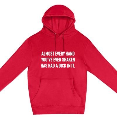 Almost Every Hand You’Ve Ever Shaken Has Had A Dick In It Premium Pullover Hoodie