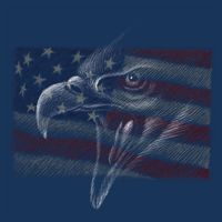 American Eagle Illustration Art 7 Panel Mesh Trucker Snapback Hat