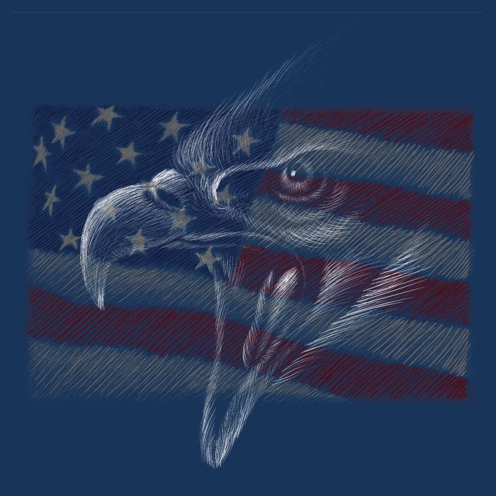 American Eagle Illustration Art 7 Panel Mesh Trucker Snapback Hat