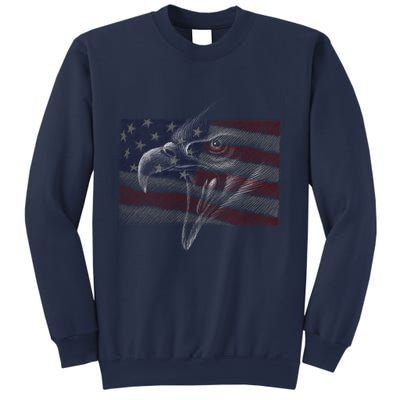 American Eagle Illustration Art Sweatshirt