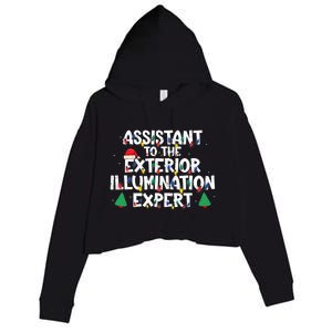 Assistant Exterior Illumination Expert Christmas Lights Hat Crop Fleece Hoodie