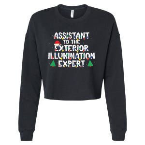 Assistant Exterior Illumination Expert Christmas Lights Hat Cropped Pullover Crew