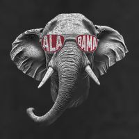 Alabama Elephant Lovers 7 Panel Mesh Trucker Snapback Hat