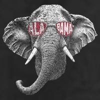 Alabama Elephant Lovers Adult Drive Performance Visor