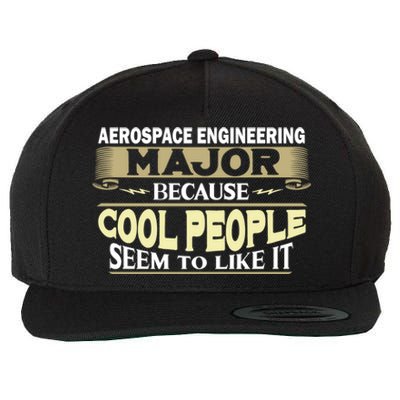 Aerospace Engineering Major Cool People Like It College Gift Wool Snapback Cap