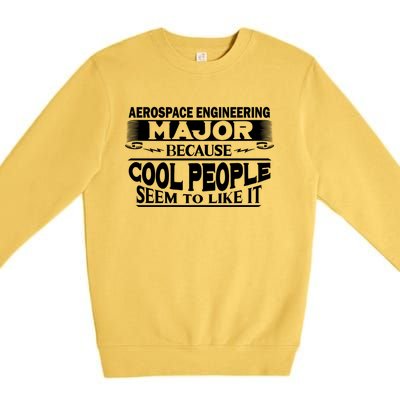 Aerospace Engineering Major Cool People Like It College Gift Meaningful Gift Premium Crewneck Sweatshirt