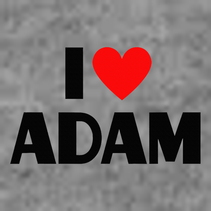 Adam Enthusiast Passionate for Adam Hooded Wearable Blanket