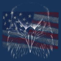 American Eagle Sketch Art Flatbill Hat