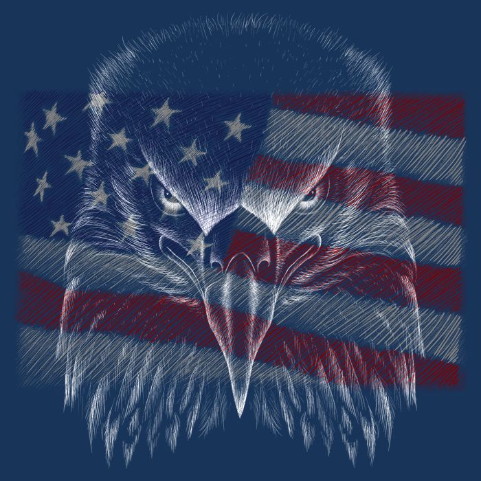 American Eagle Sketch Art Flatbill Hat